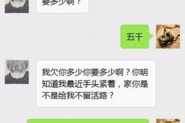 龙岩债务清欠服务